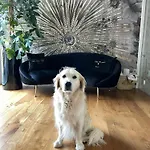 Oda ve Kahvaltı Ca' Squero911 Luxury