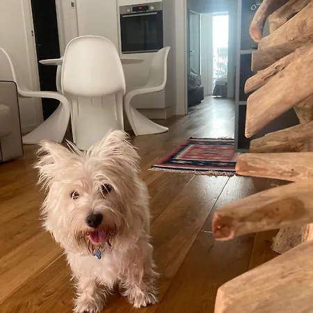 Ca' Squero911 Luxury 住宿加早餐酒店