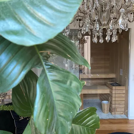 Ca' Squero911 Luxury Bed and breakfast