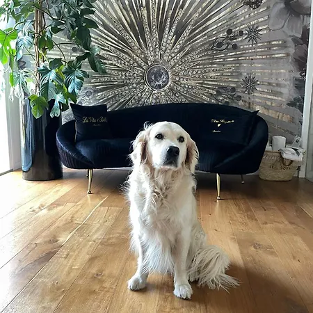 Ca' Squero911 Luxury 4*