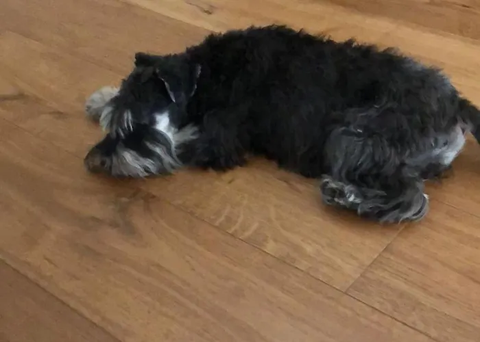 Ca' Squero911 Luxury 4*