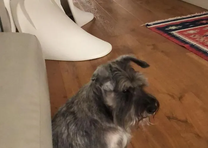 Ca' Squero911 Luxury فندق مبيت وإفطار تْشيزيناتيكو