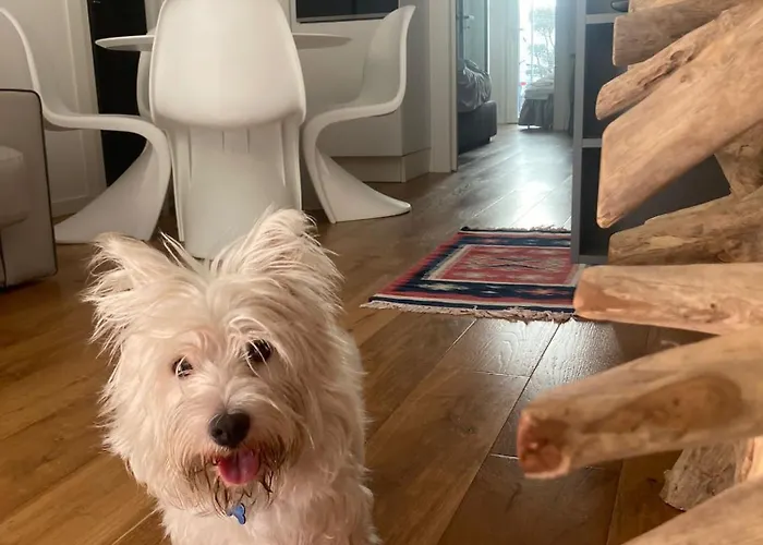 Ca' Squero911 Luxury Alojamento de Acomodação e Pequeno-almoço