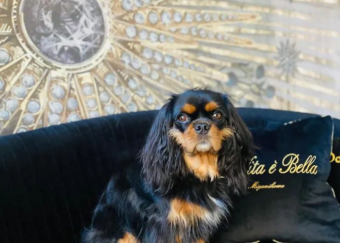 Ca' Squero911 Luxury Cesenatico