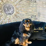 Ca' Squero911 Luxury Cesenatico