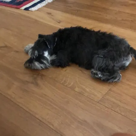 Ca' Squero911 Luxury 4*