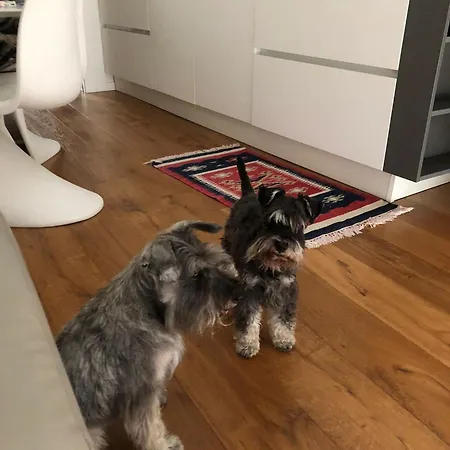 Alojamento de Acomodação e Pequeno-almoço Ca' Squero911 Luxury Cesenatico