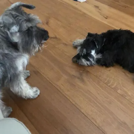 Alojamento de Acomodação e Pequeno-almoço Ca' Squero911 Luxury 4*