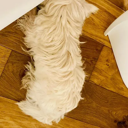 Ca' Squero911 Luxury Alojamento de Acomodação e Pequeno-almoço 4*