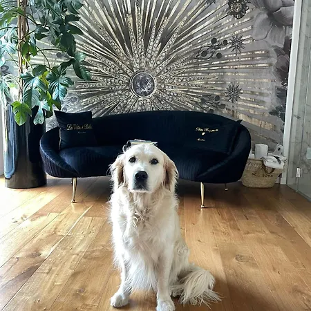 Nocleg ze śniadaniem Ca' Squero911 Luxury