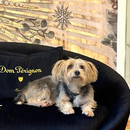 Ca' Squero911 Luxury 4*