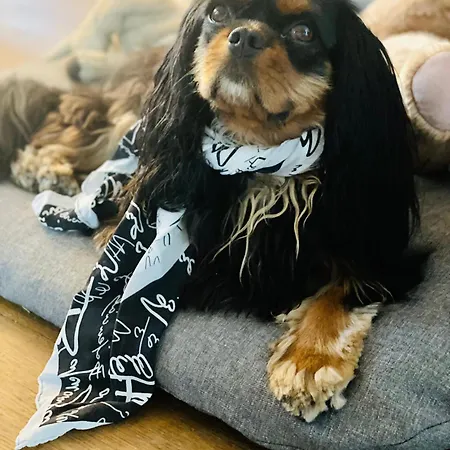 Ca' Squero911 Luxury 4*