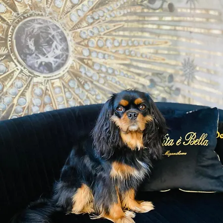 Ca' Squero911 Luxury Cesenatico