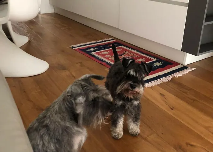 Bed and breakfast Ca' Squero911 Luxury Cesenatico