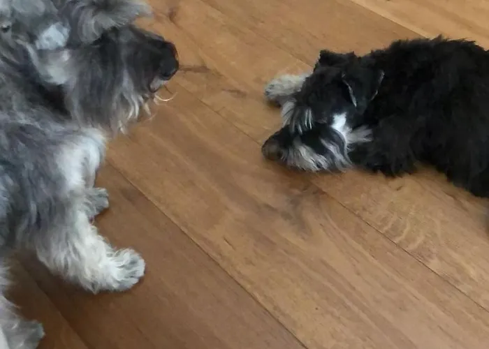 Bed and breakfast Ca' Squero911 Luxury 4*