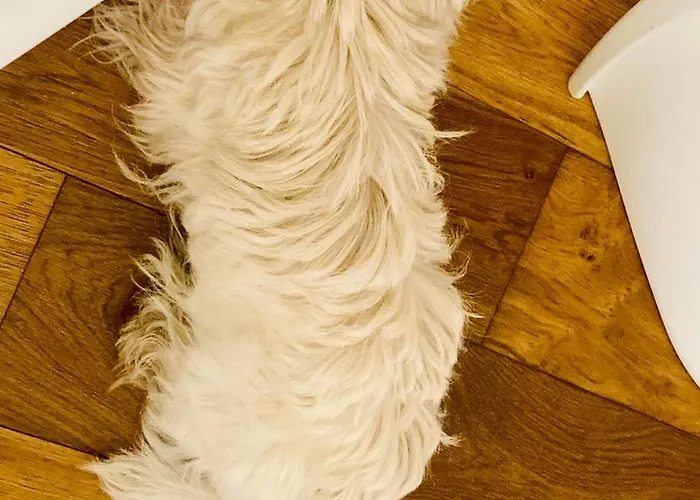 Ca' Squero911 Luxury Frühstückspension 4*