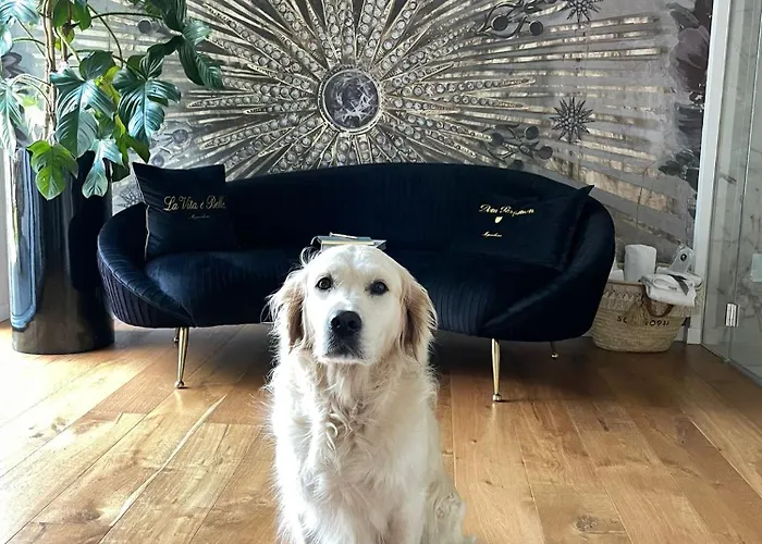 Nocleg ze śniadaniem Ca' Squero911 Luxury