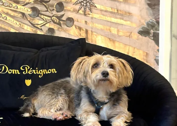 Ca' Squero911 Luxury 4*