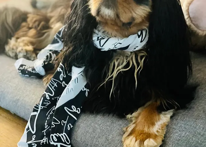 Ca' Squero911 Luxury 4*