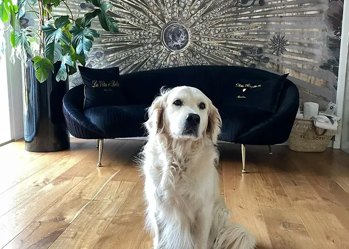 Ca' Squero911 Luxury 4*